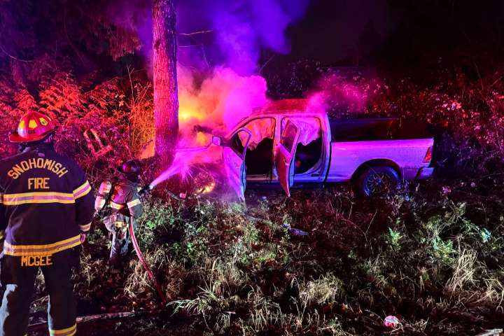 Driver rescued after truck crashes into tree and bursts into flames