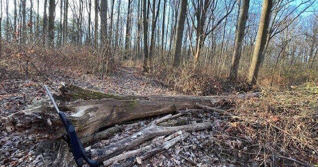 A Pennsylvania Deer Hunter’s Opening Day View