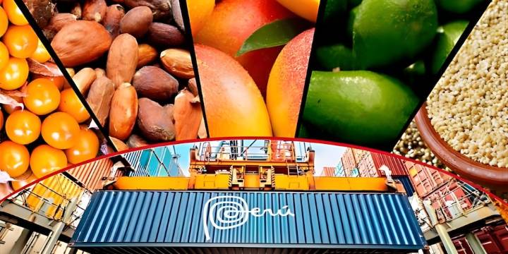 Exportaciones peruanas a EE. UU. crecen 7% pese a nuevos aranceles impuestos por Donald Trump