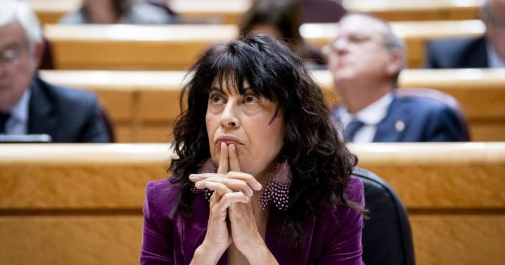 La fiscal andaluza manda un recado al Gobierno por los fallos en las pulseras: «Es innegable su gravedad»