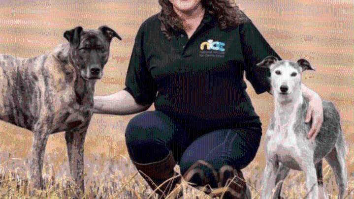 Hartpury University hosts groundbreaking Canine Symposium in 2026