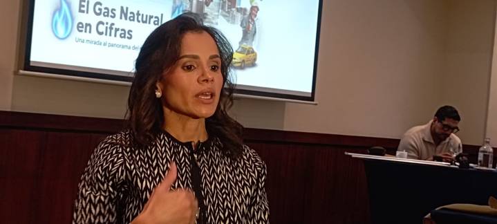 El sector del Gas advierte un fuerte desabastecimiento para los próximos cinco años