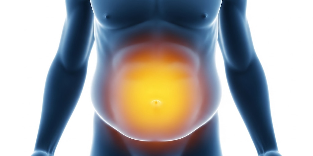 Grasa visceral y zona de riesgo: el impacto oculto de la obesidad abdominal en la salud