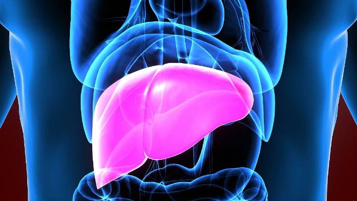 Discrepancy in Parent-, Child-Reported Outcomes Affects Child's Quality of Life After Liver Transplant