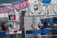 Pese a críticas, el Mega Derby Intercontinental arranca en Pachuca