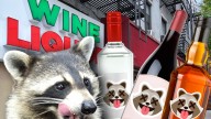 Viral 'Drunk Raccoon' Liquor Store Releases Three Cocktails