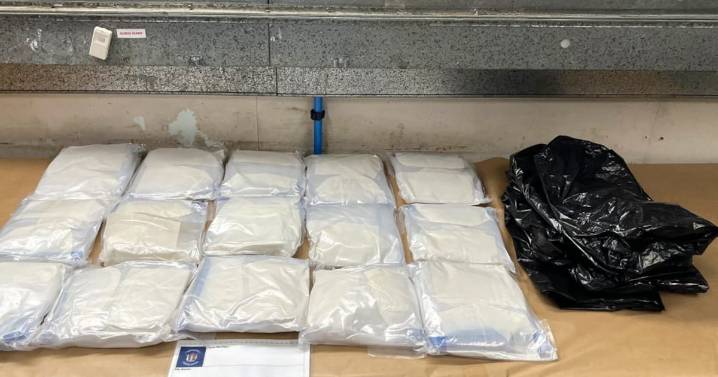 Canadian accused of smuggling 15 kg of meth to New Zealand