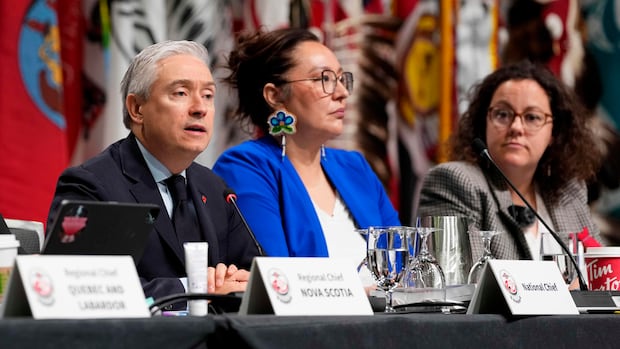 Where do First Nations rank on Carney’s priority list, regional chief asks ministers