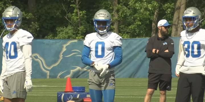 Detroit Lions place cornerback Terrion Arnold on IR