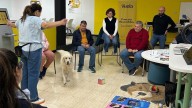Una visita asistida con perros llena de emoción el Día Internacional de la Discapacidad en Marmolejo