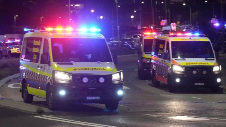 Child among 15 killed by gunmen in attack on Jewish holiday event on Sydney’s Bondi Beach