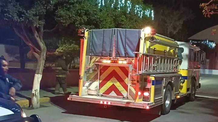 Alarma por incendio en árboles en el jardín del centro