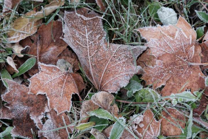Cold blasts keep the pattern colder than normal until next week