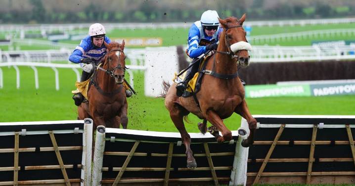 Five horses to follow at Cheltenham races after Storm Bram turns the ground soft