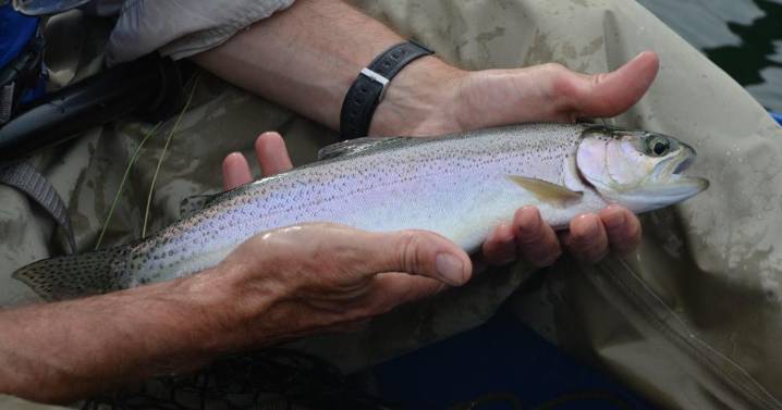 Important dates to help plan your December