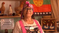 Lucía Calquín : la artesana curicana que rescató la gallina mapuche en vellón