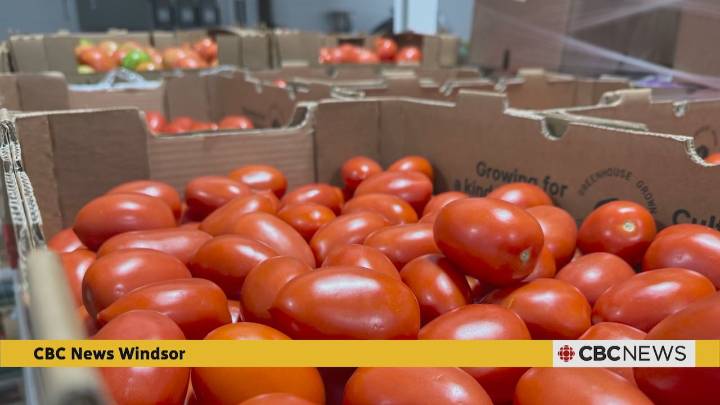 How this facility helps rescue millions of pounds of fresh produce