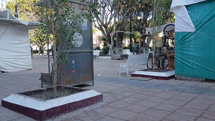 Busca comisión de Medio ambiente dar seguimiento a programas de reforestación en Salamanca en 2026