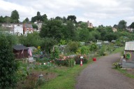 Plans for new Kenilworth allotments revealed | Local News 