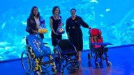 Celebran CRIT Sinaloa y Gran Acuario Mazatlán el ‘Aqua Fest 3D’