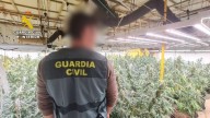 Desarticulada una banda criminal que cultivaba marihuana en estos cinco municipios de Zaragoza