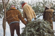 Wyoming Families Can Now Snag Trees And Firewood For A Buck