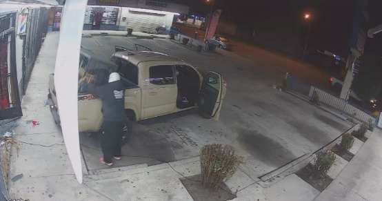 South Los Angeles barbershop's pet cat stolen during Thanksgiving Day burglary