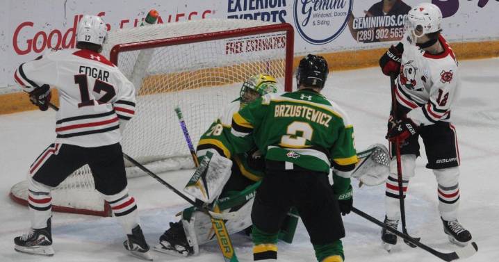 Knights held in check: IceDogs edge London for third win in a row