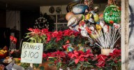 Comerciantes de flores enfrentan desabasto y bajas ventas rumbo a Navidad