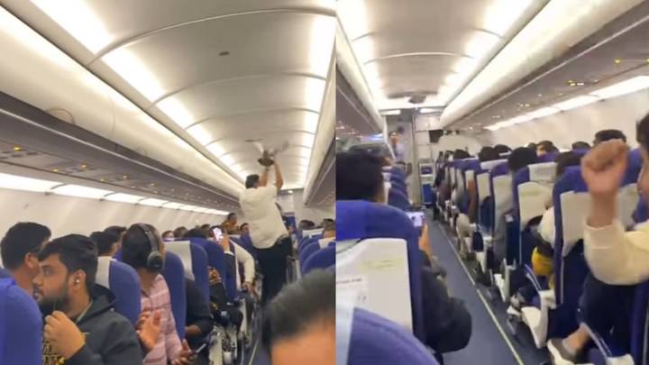 Watch: Pigeon Causes Chaos Inside IndiGo Flight Moments Before Take