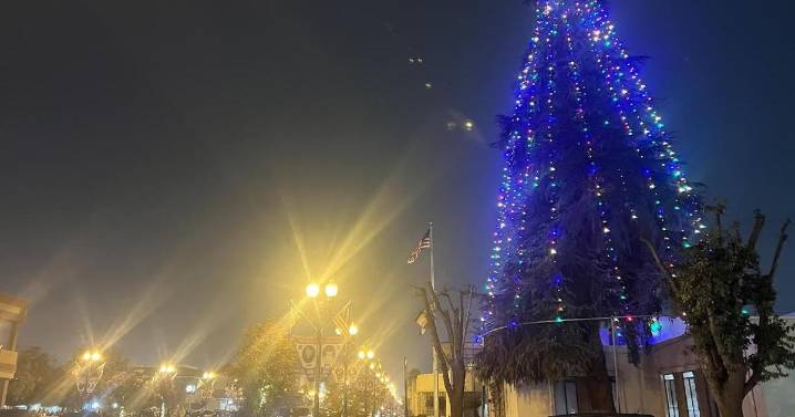 Light Up The Season: Community gathers for tree lighting