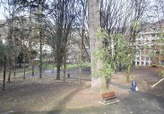 Bidebieta-Iparragirre-Izaskun, un barrio que reclama «una atención no correspondida»