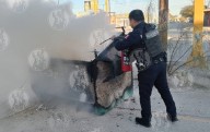 Arde contendor de basura afuera de tienda de coneviencia