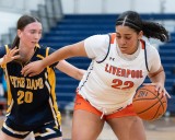 Up next: Meet the Central NY girls basketball players with big shoes to fill in 2025