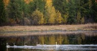 Historic land deals protect 16,000 acres in northern Minnesota