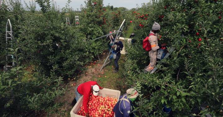 Foreign workers abuse claims have skyrocketed, document say