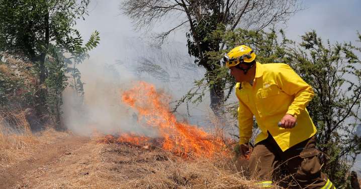 Región Metropolitana en alerta preventiva por alto riesgo de incendios forestales ante ola de calor