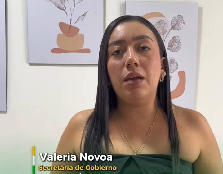 Restricción de parrillero