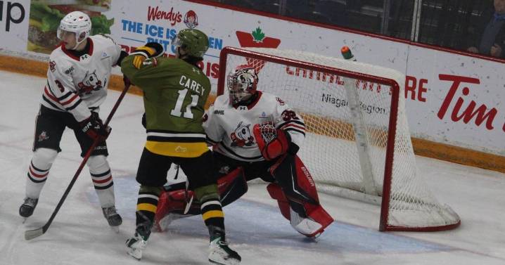 Winning weekend: IceDogs reel in Steelheads, topple Troops