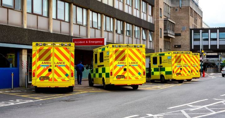 'I spent a night in A&E - 50 hour waits and fights breaking out in lobby'