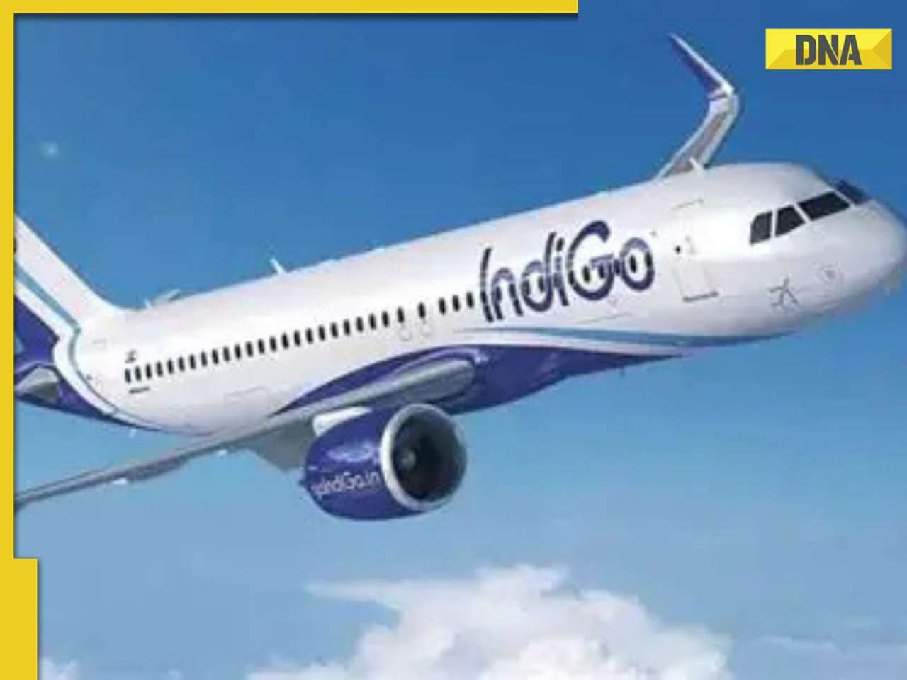 Amid IndiGo flight delays, cancellation, CEO says 'Couldn't live upto...' in let