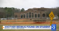 Another bedbug found at Bradley Central; some parents disappointed with school's reaction