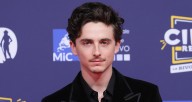Timothee Chalamet Shows Off His Super Cute New Puppy | Celebrity Pets, Timothee Chalamet 