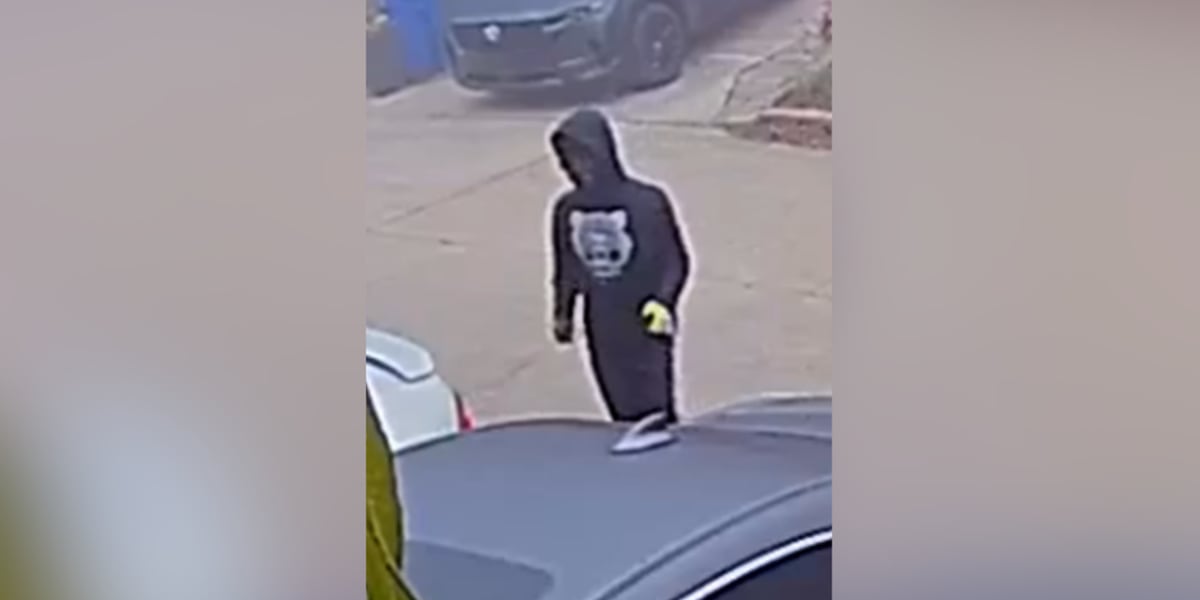 Nearly 140 cars broken into on residential street, Atlanta police say