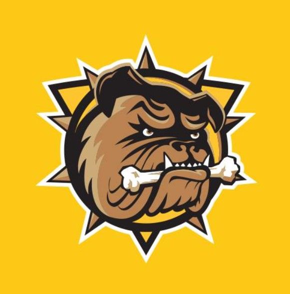 Brantford Bulldogs to 'remain in Brantford forever'