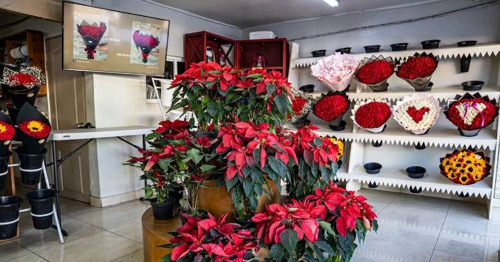 Aumentan las ventas de Nochebuenas