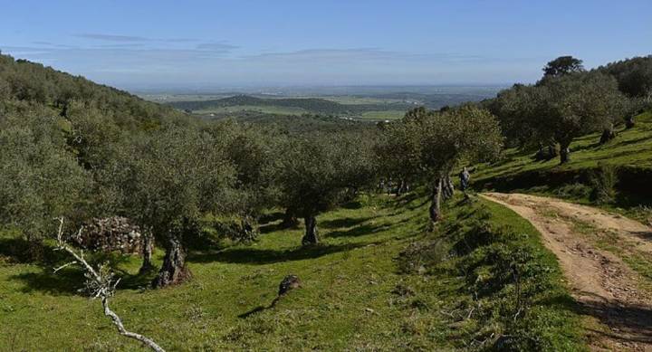 Mejorarán 60 senderos en la provincia de Badajoz