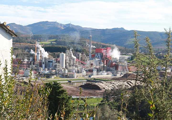 Ence dedica más de un millón de euros a mejorar la recepción de madera en sus fábricas