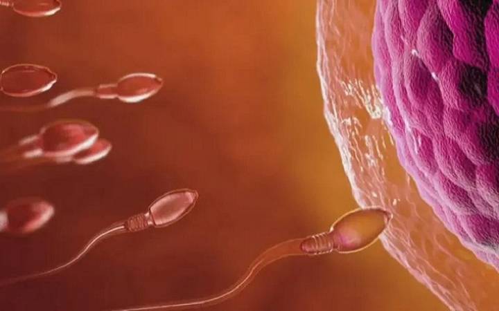 Donante de esperma con gen cancerígeno engendró casi 200 niños (+Detalles) 12 de diciembre de 2025 | Internacional Algunos de estos niños ya han fallecido y solo una minoría de los que han heredado la