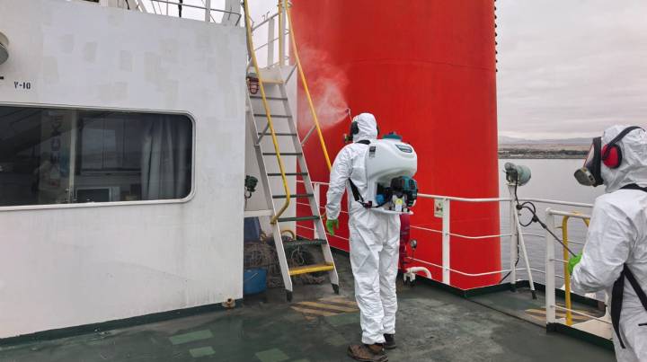 Detectan peligrosa “polilla ecuatoriana” en nave extranjera que arribó a puerto de Totoralillo